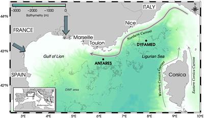 Assessing seasonal and interannual changes in carbonate chemistry across two time-series sites in the North Western Mediterranean Sea